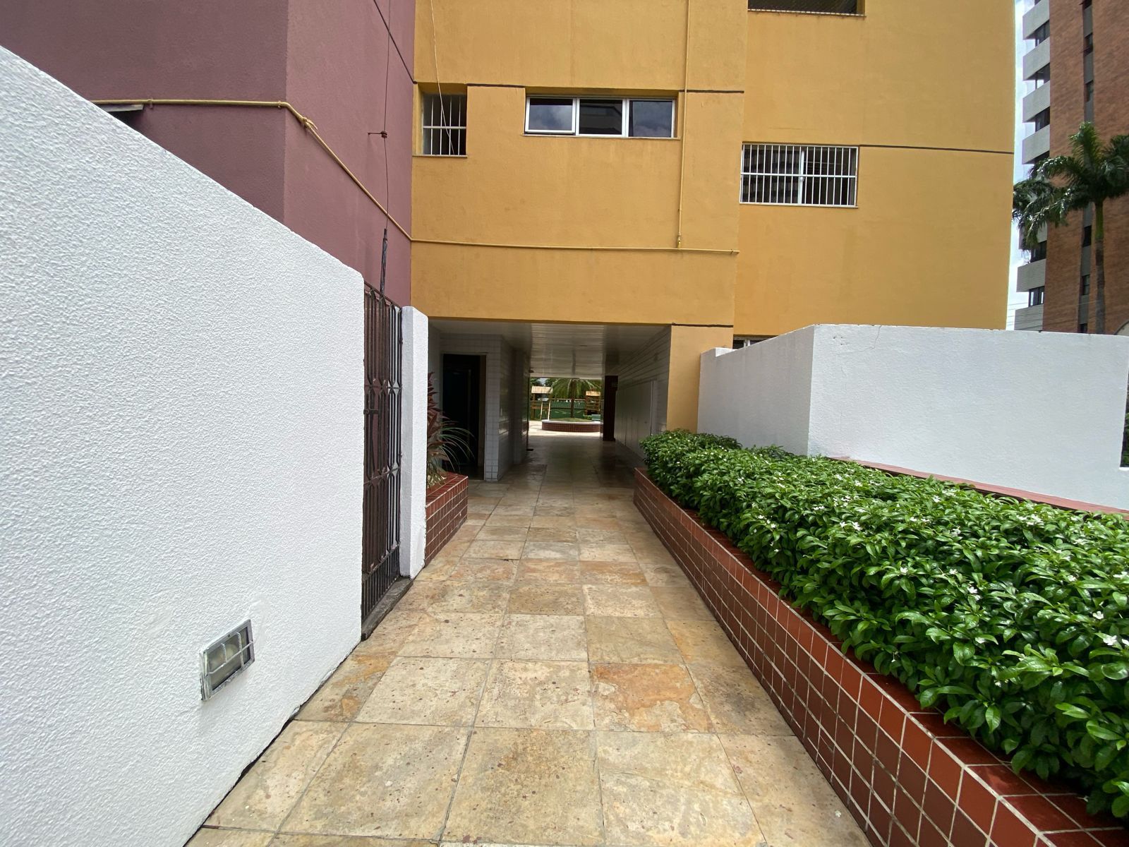 img196650293