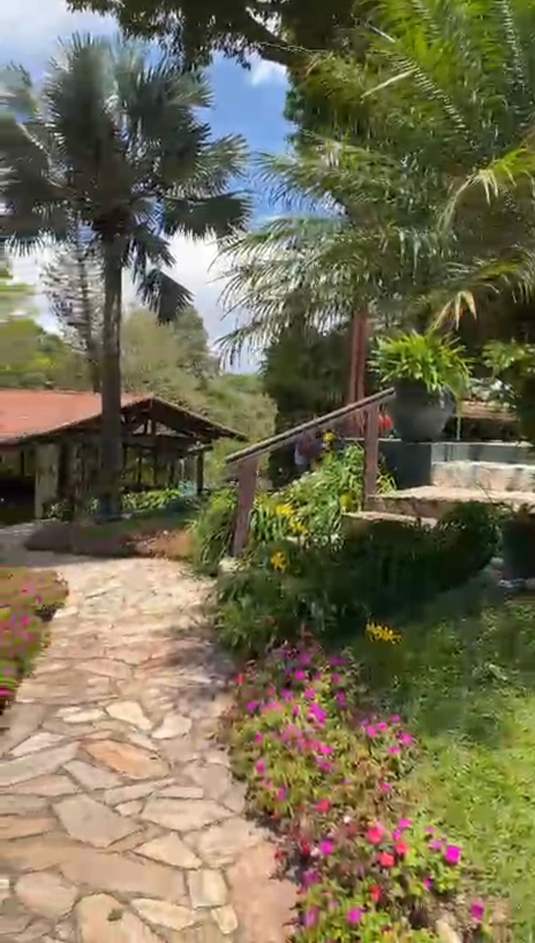 Chácara, 5 quartos, 33 hectares - Foto 34