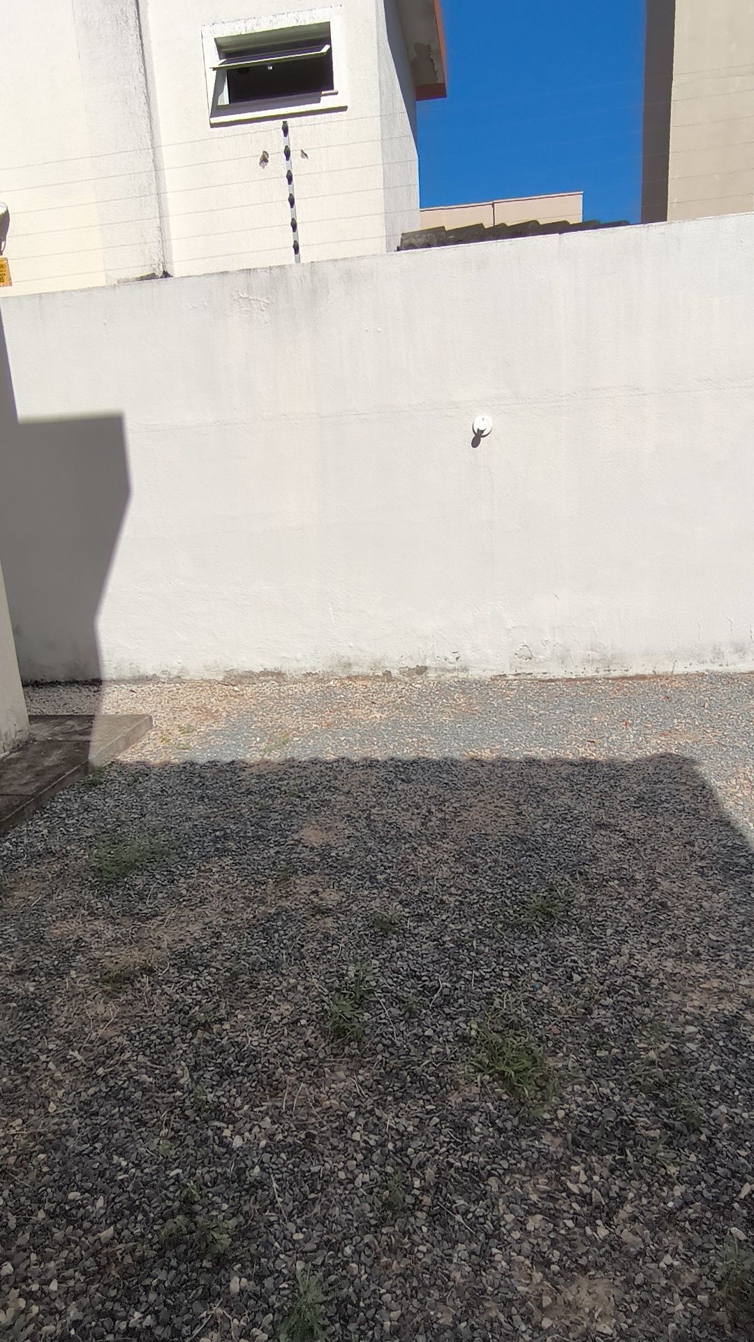 Casa, 5 quartos, 223 m² - Foto 41