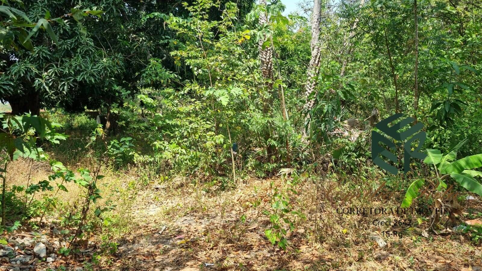 Loteamento e Condomínio, 2 hectares - Foto 8