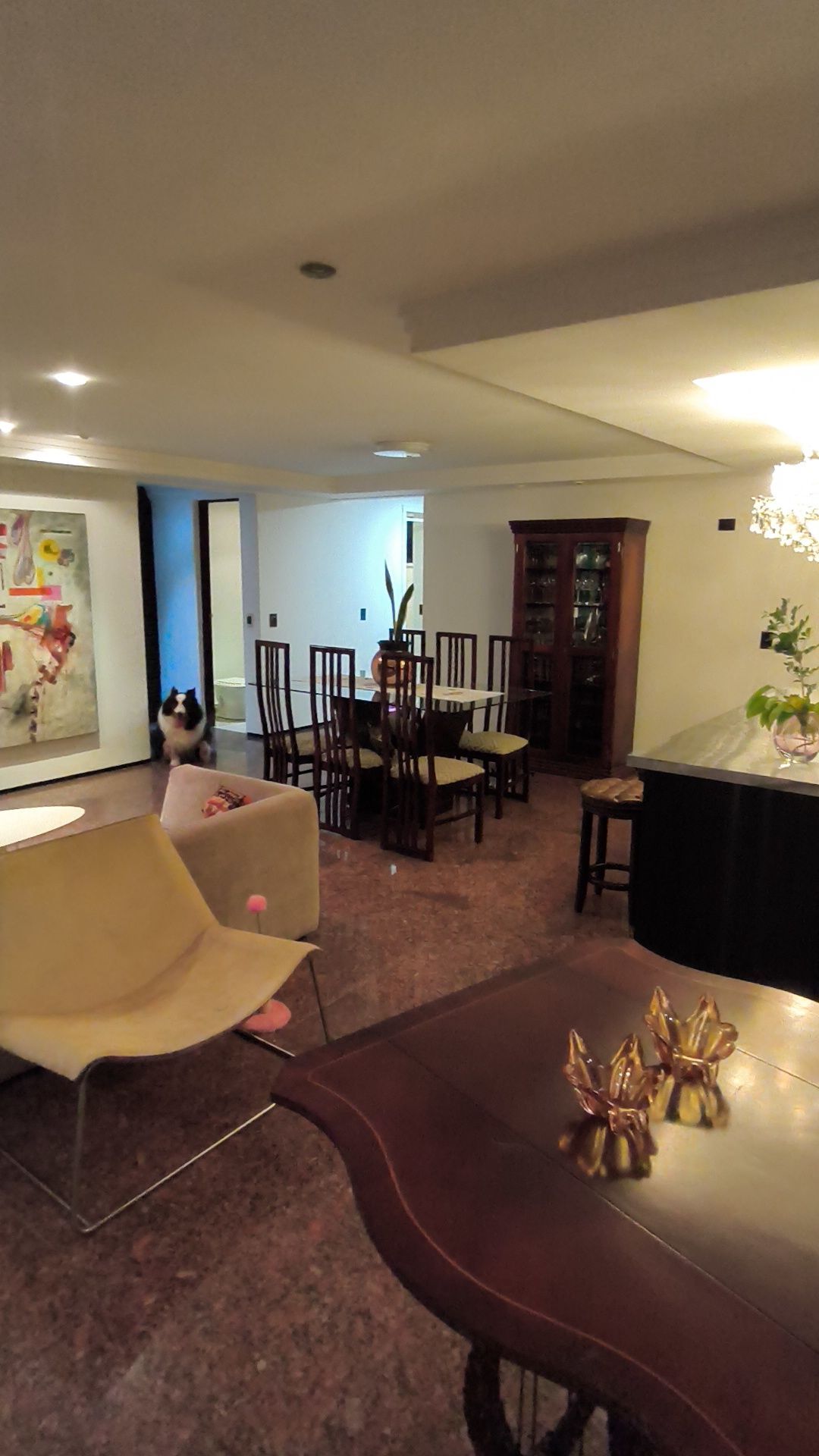 Apartamento, 4 quartos, 225 m² - Foto 4