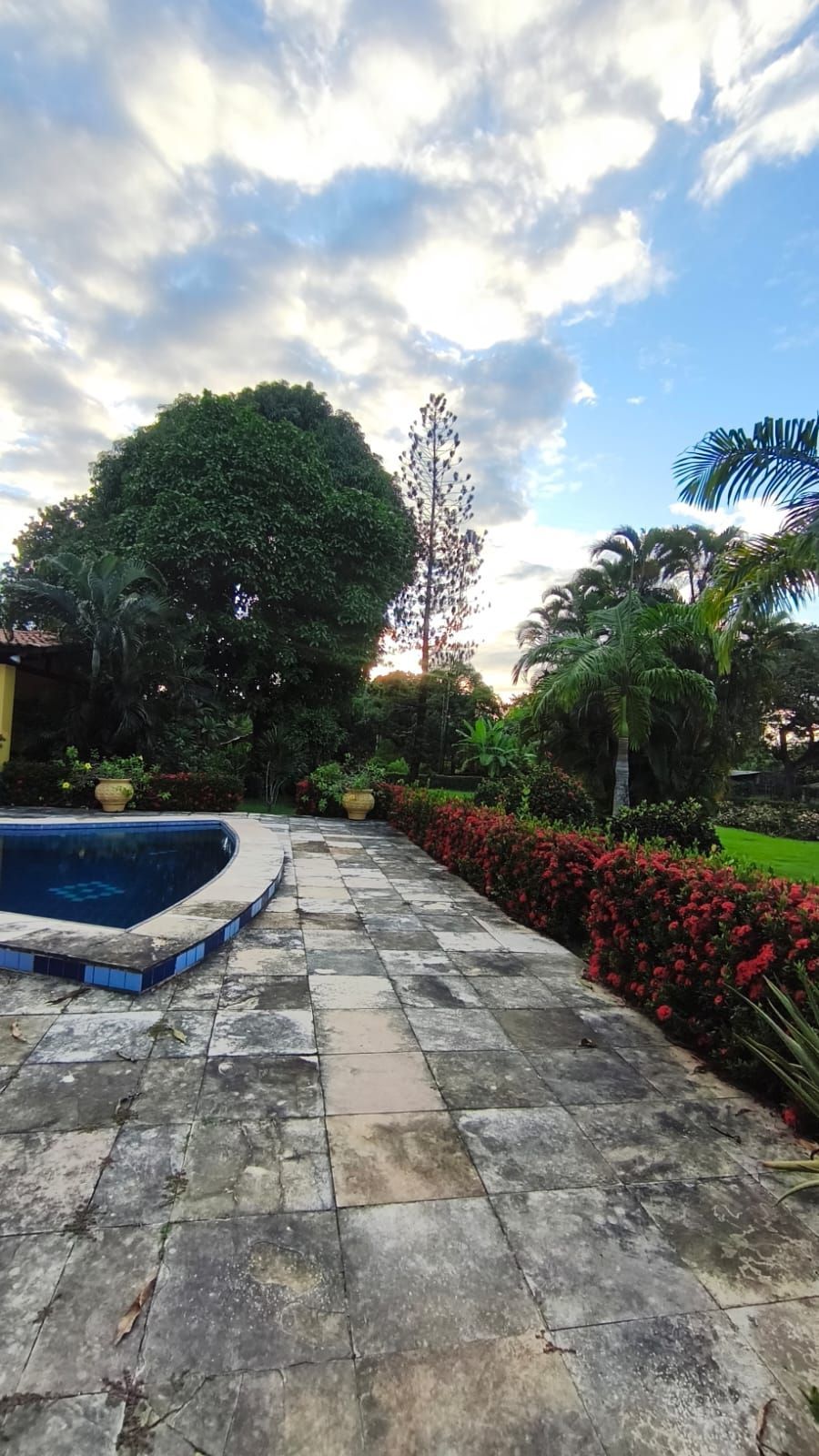 Chácara, 6 quartos, 2 hectares - Foto 16