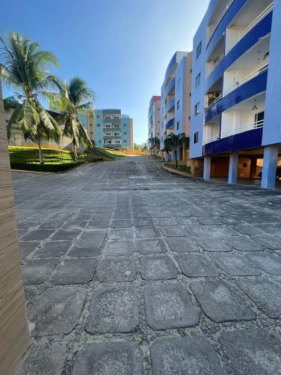 img223395702
