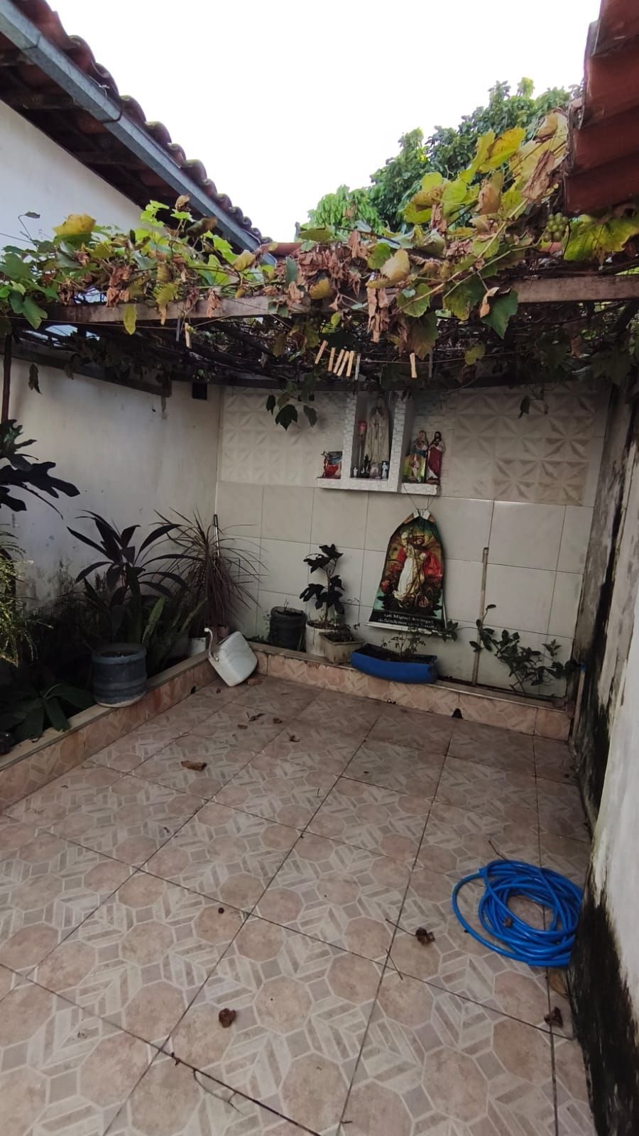 Casa, 7 quartos, 360 m² - Foto 41
