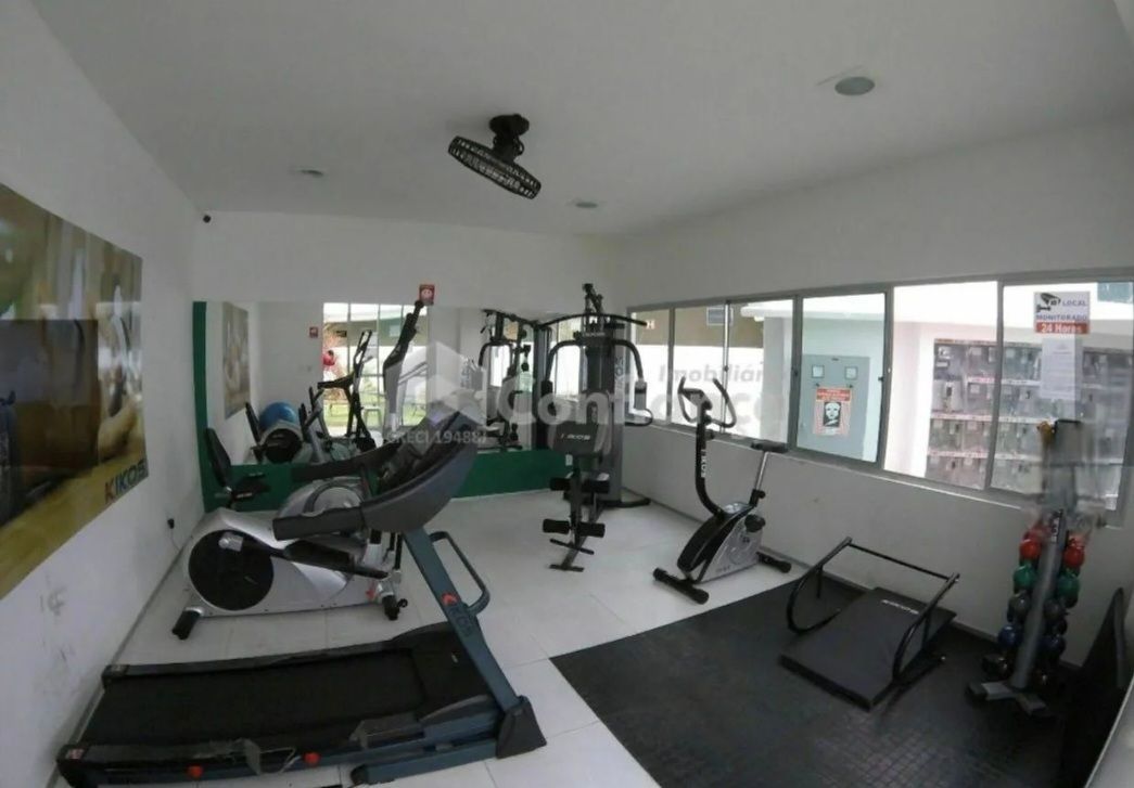 img227247974