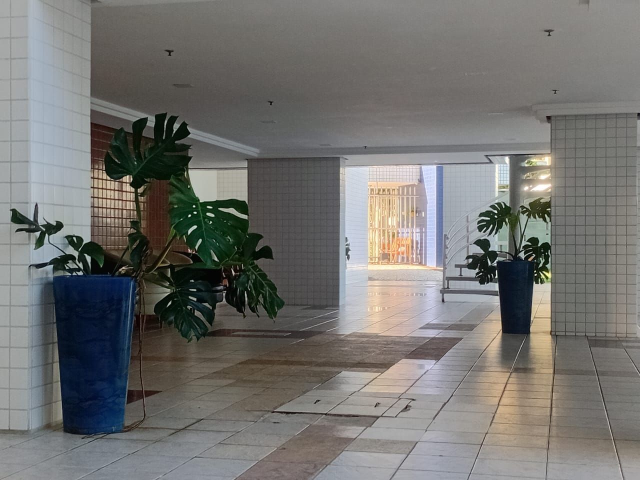 img229855405