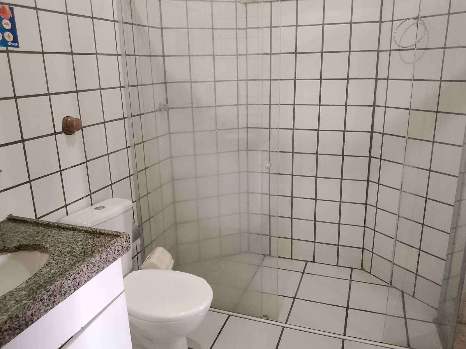 Casa, 4 quartos, 262 m² - Foto 12
