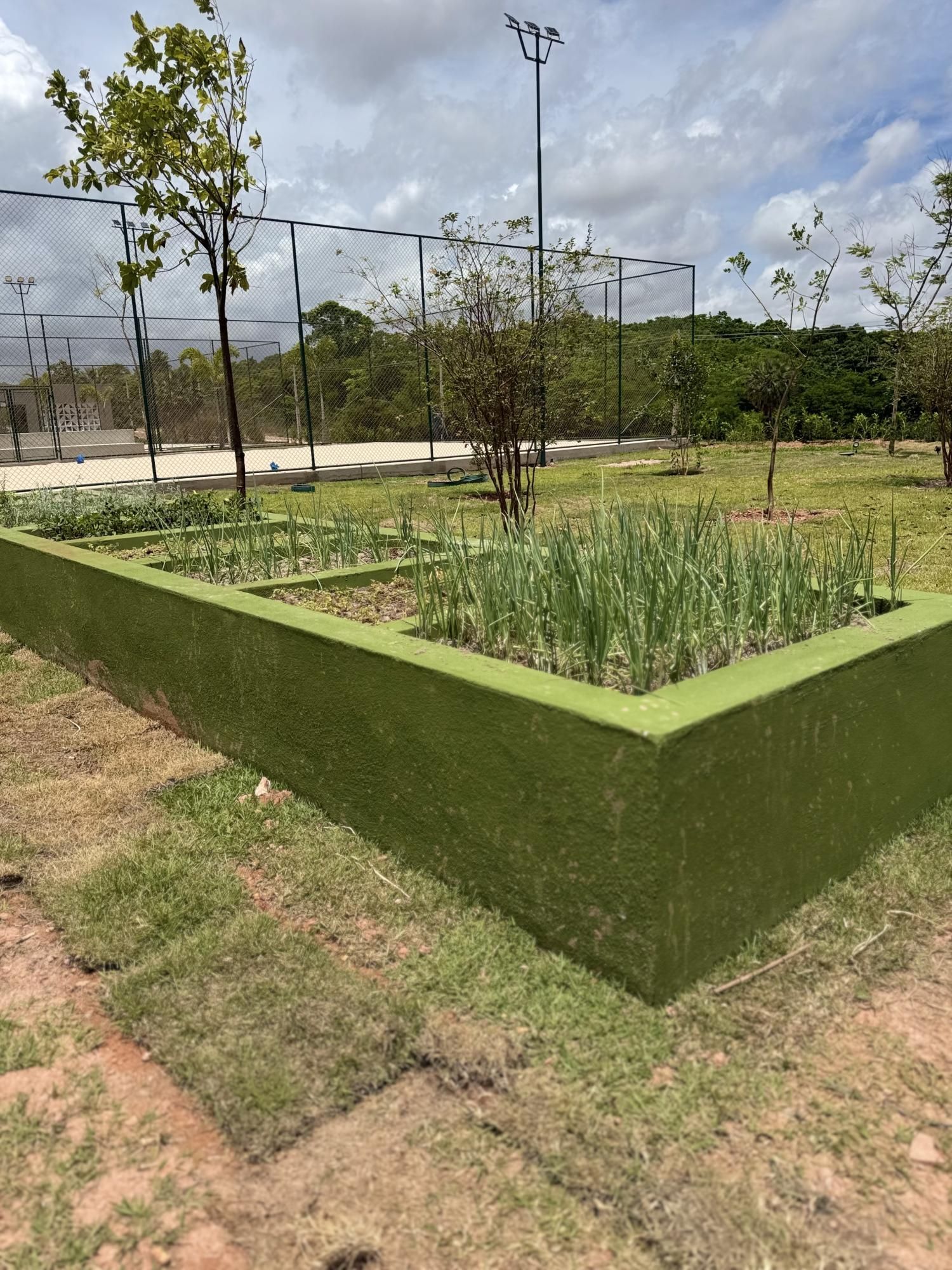 Terreno, 275 m² - Foto 6