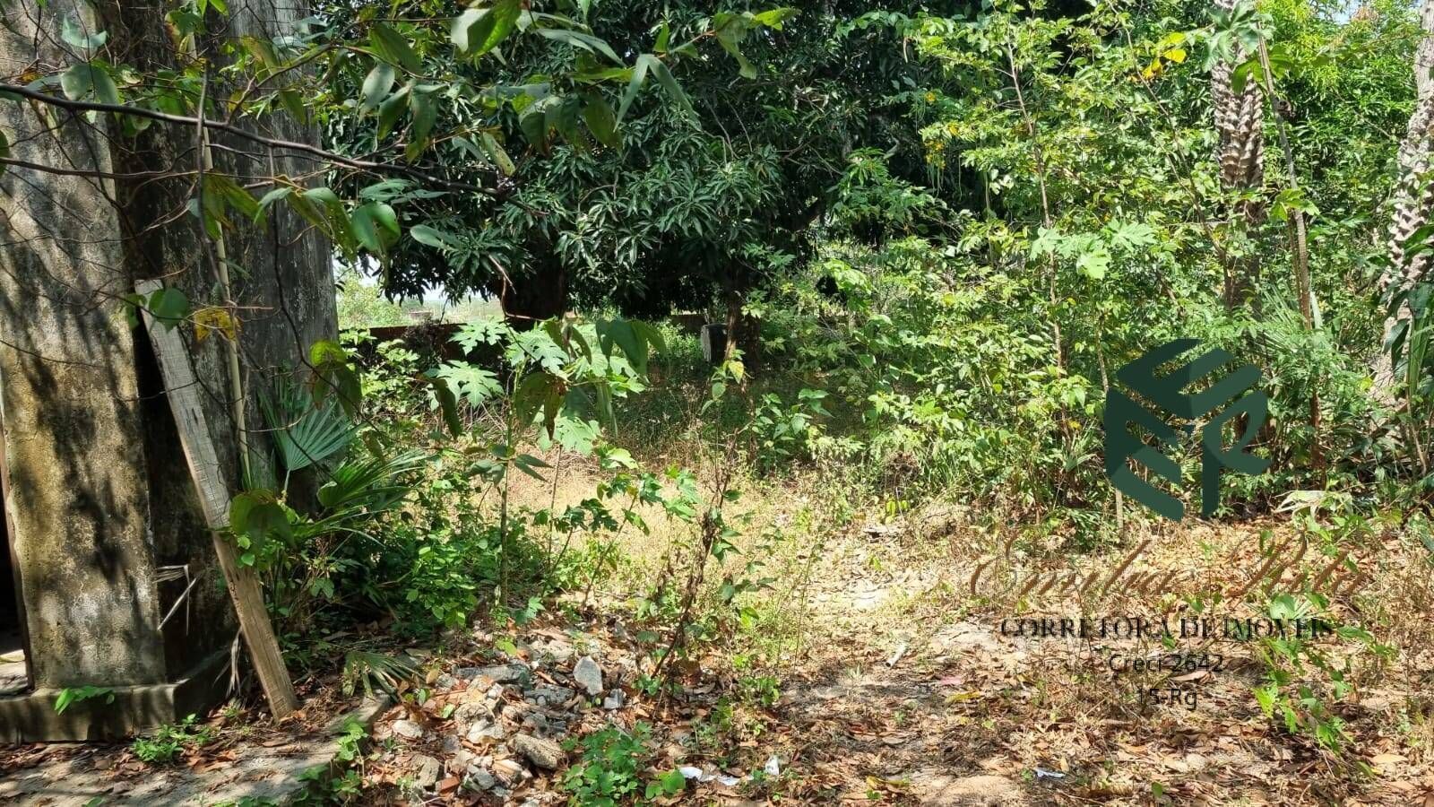 Loteamento e Condomínio, 2 hectares - Foto 11