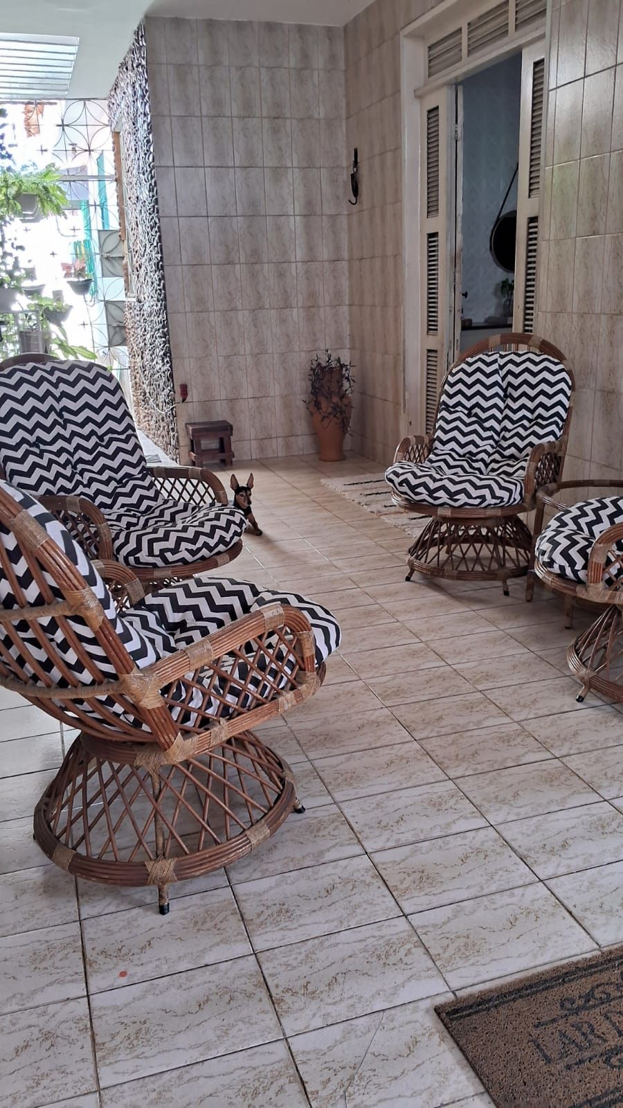 Casa, 3 quartos, 228 m² - Foto 3