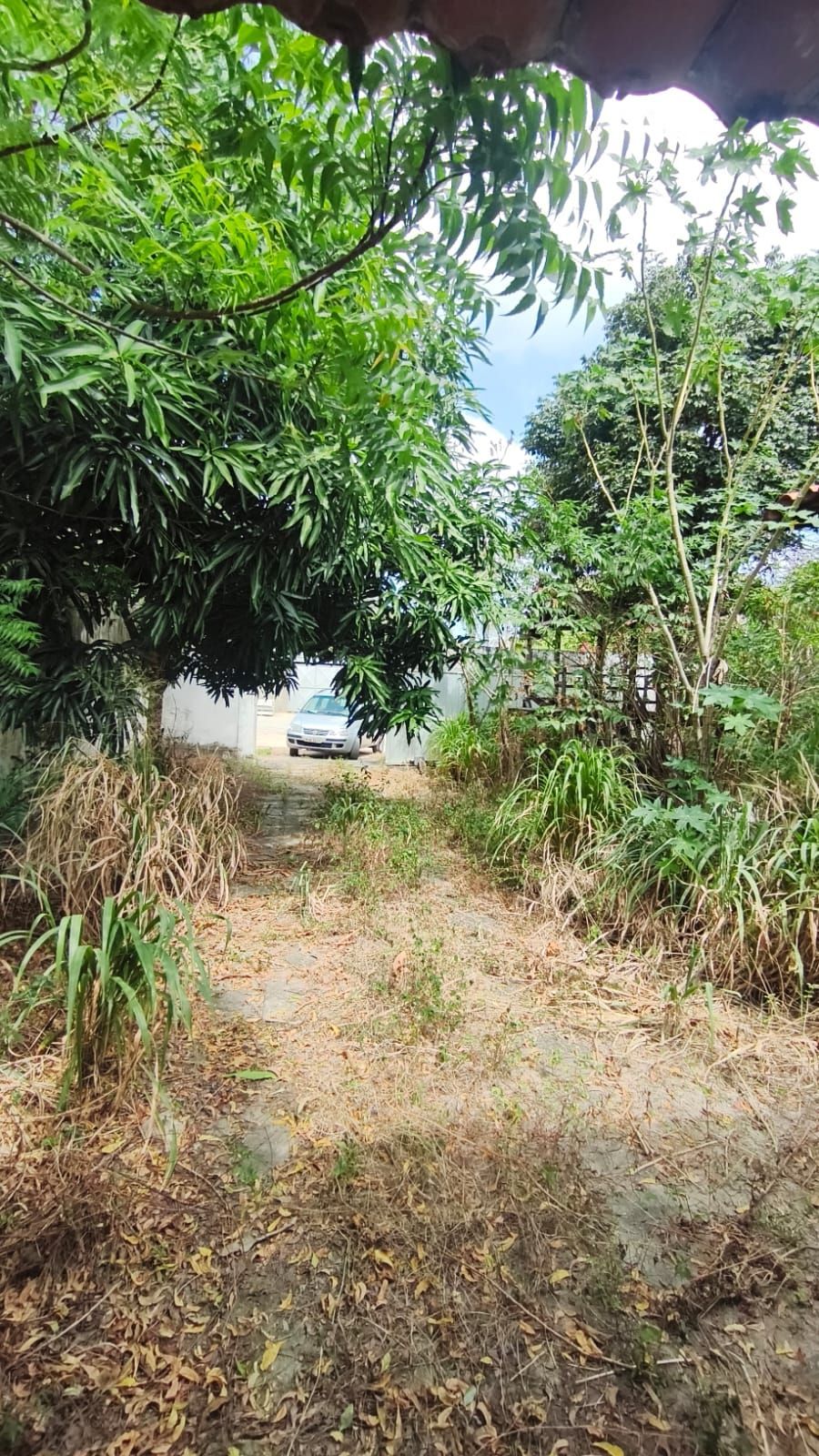 Casa, 3 quartos, 468 m² - Foto 17