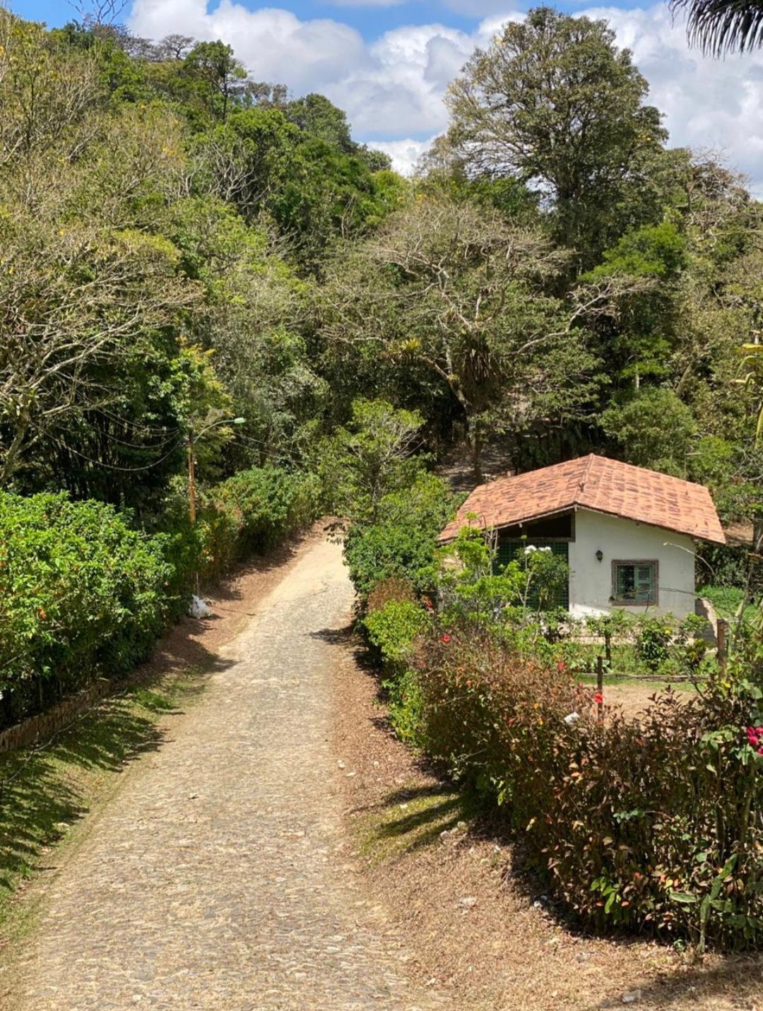 Chácara, 5 quartos, 33 hectares - Foto 6