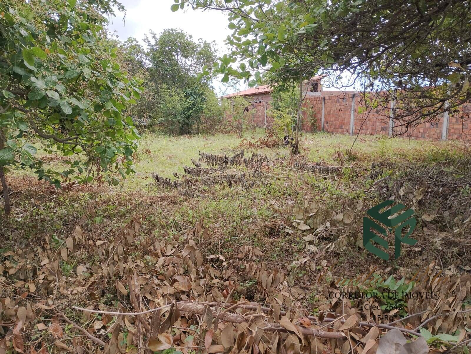 Terreno, 2880 m² - Foto 13