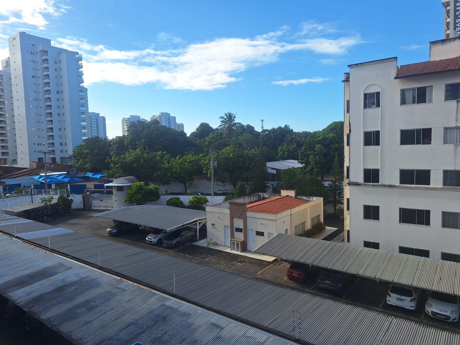 img226546350