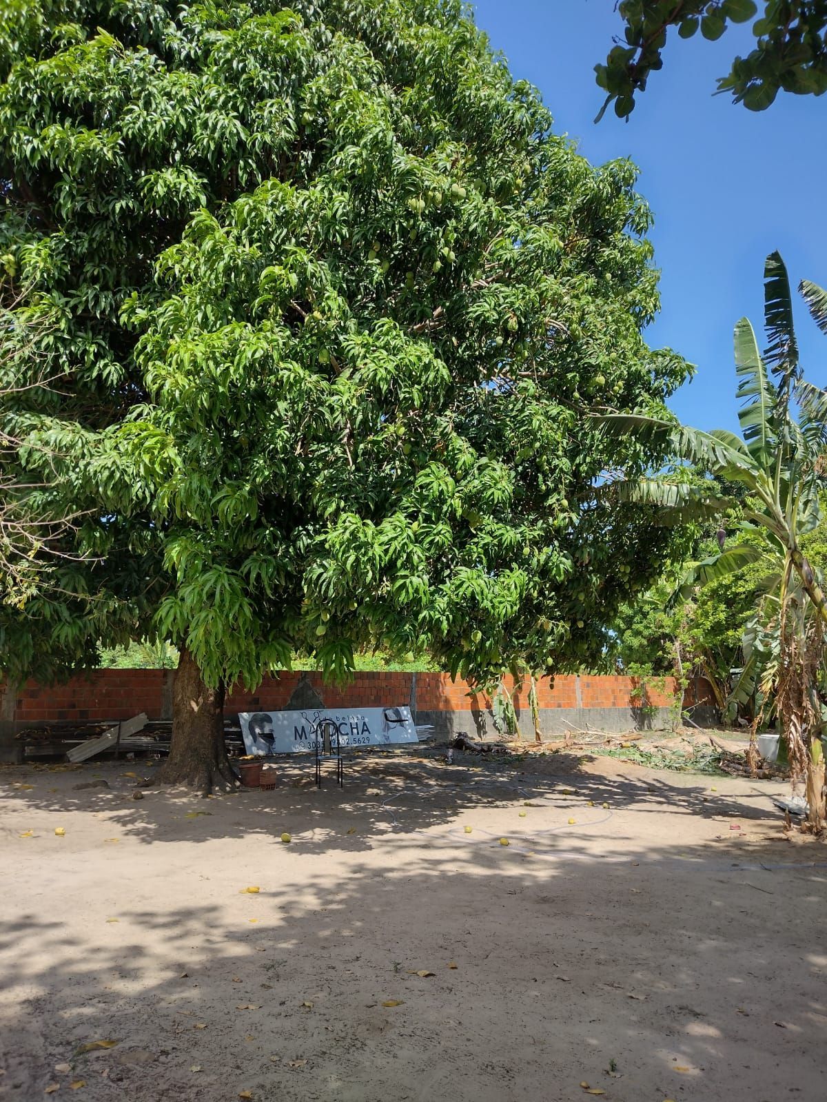 Chácara, 2 quartos, 1500 m² - Foto 9
