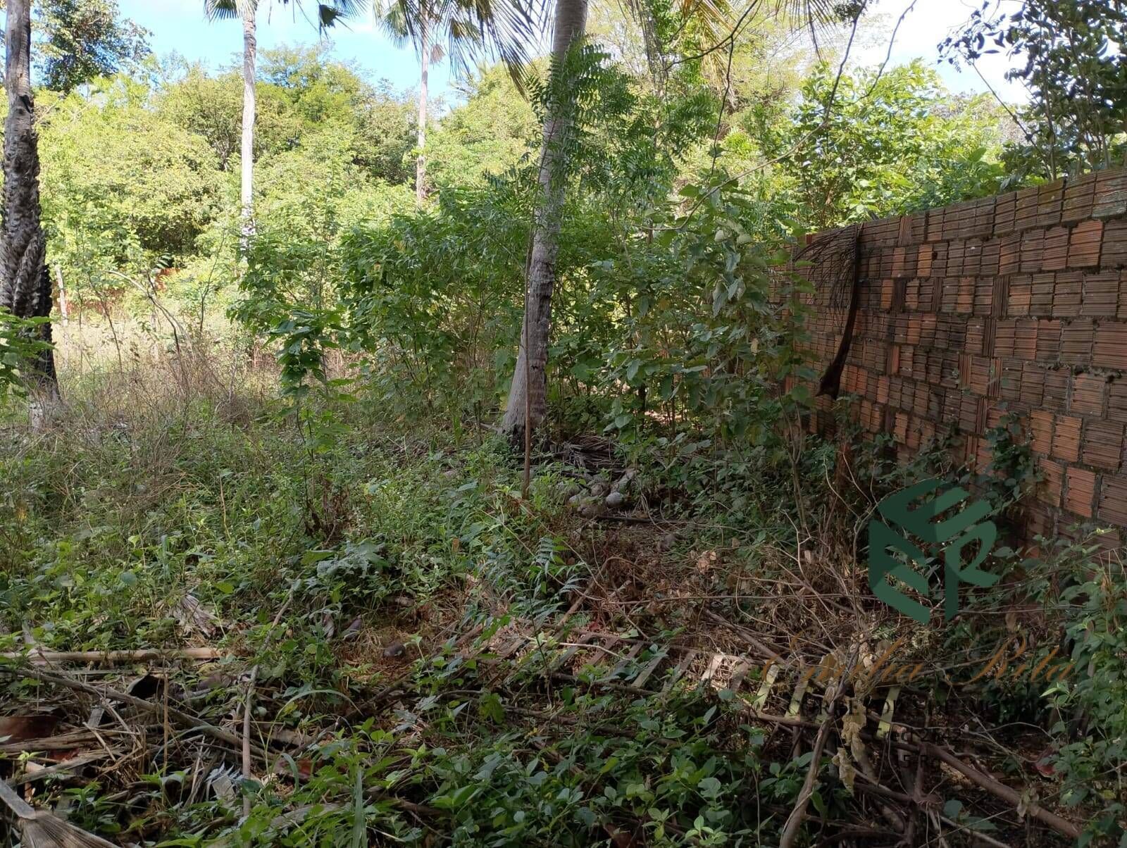 Terreno, 2880 m² - Foto 11