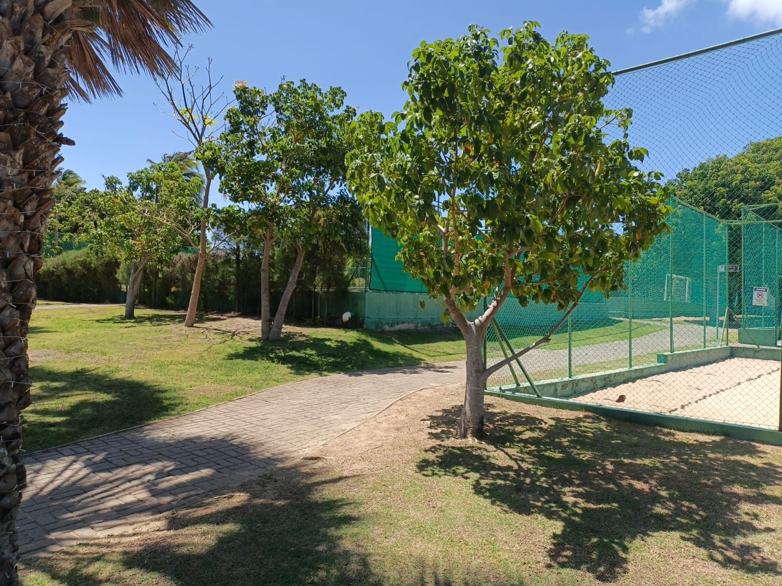 Terreno, 250 m² - Foto 4