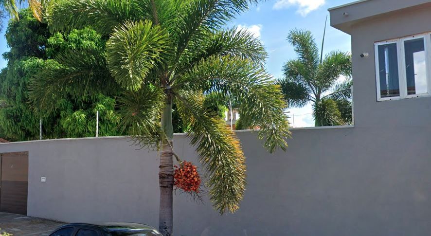 Casa, 5 quartos, 770 m² - Foto 22