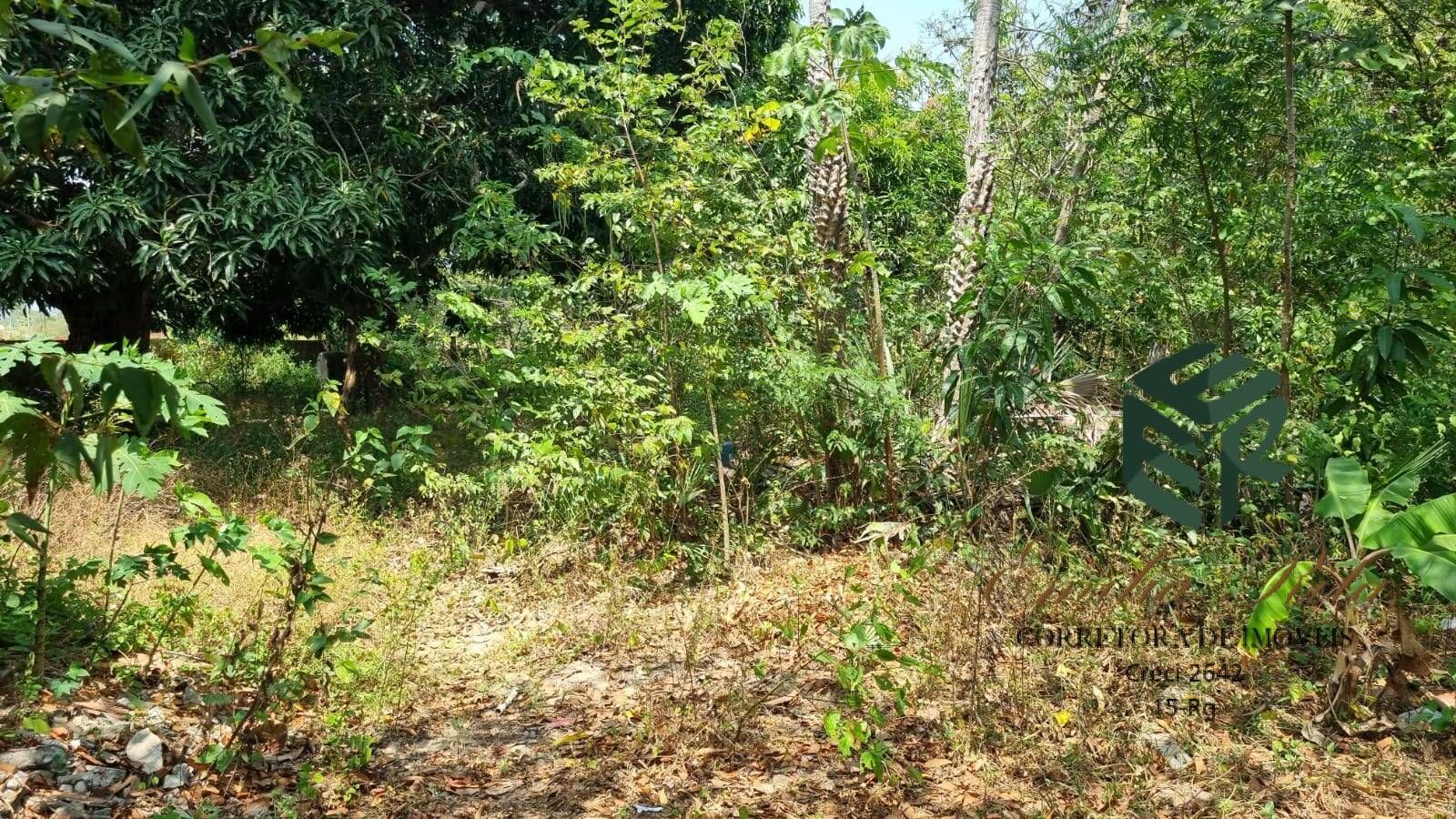 Loteamento e Condomínio, 2 hectares - Foto 16