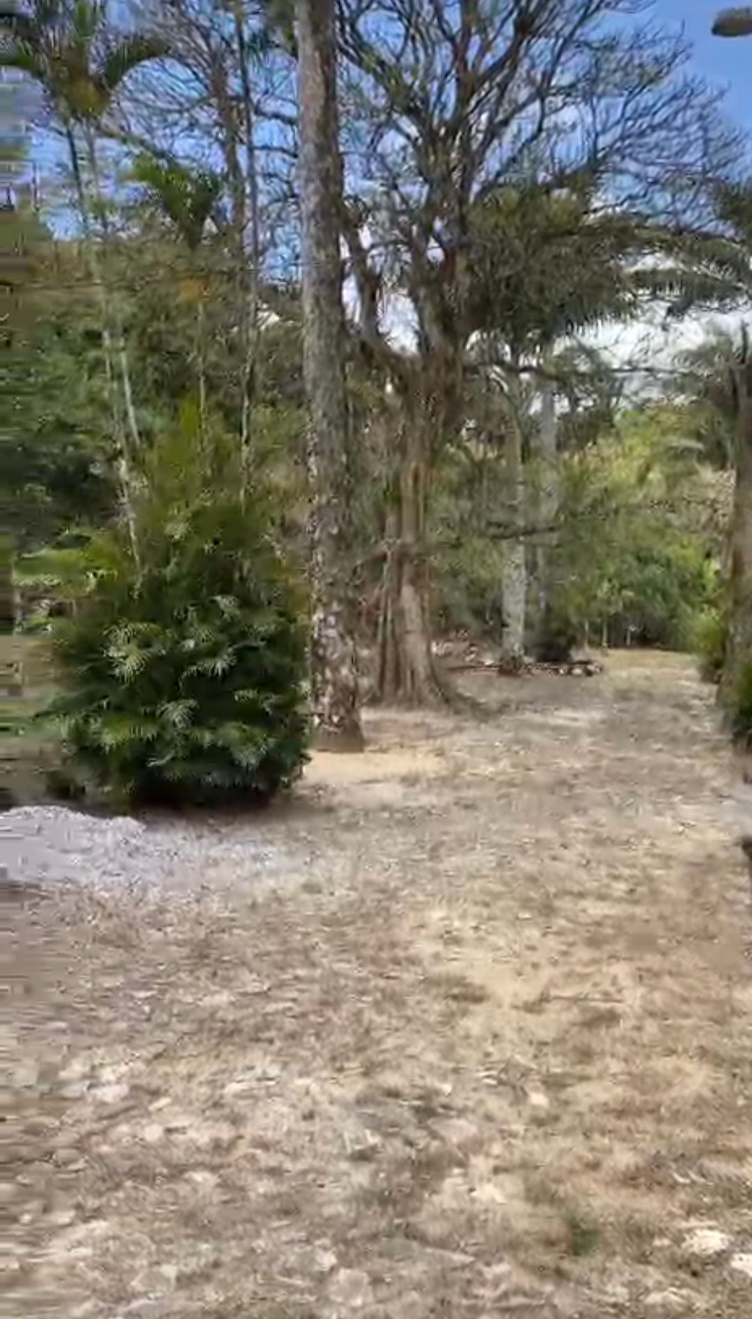 Chácara, 5 quartos, 33 hectares - Foto 13