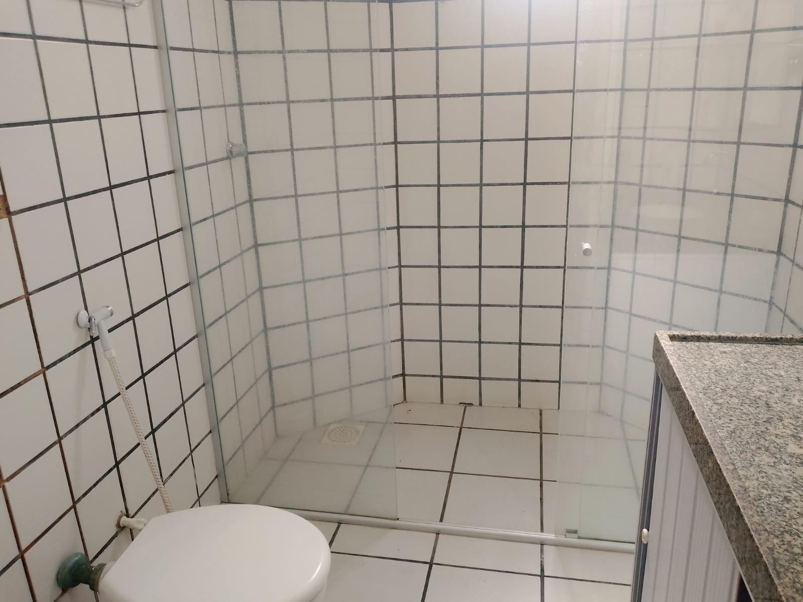 Casa, 4 quartos, 262 m² - Foto 23