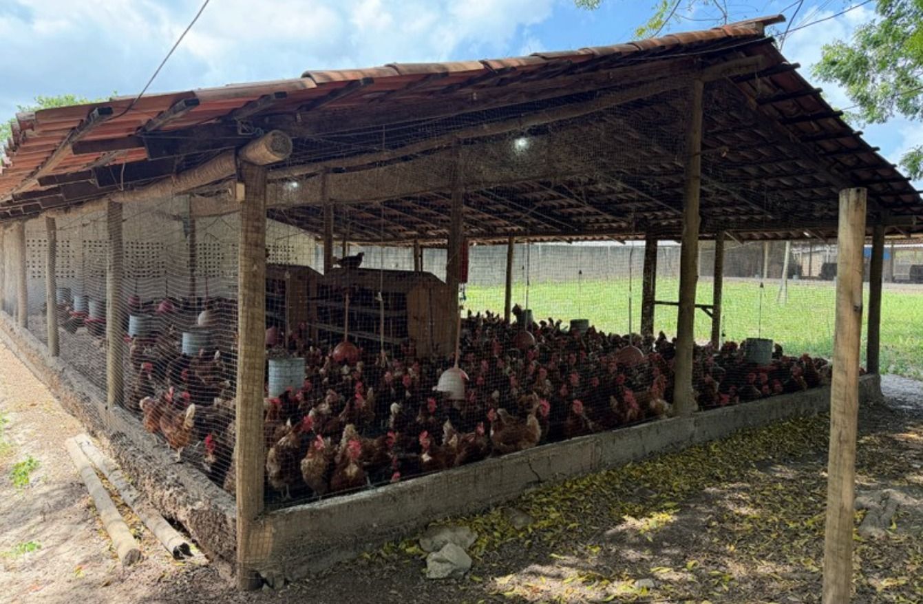 Sala-Conjunto, 246400 m² - Foto 16