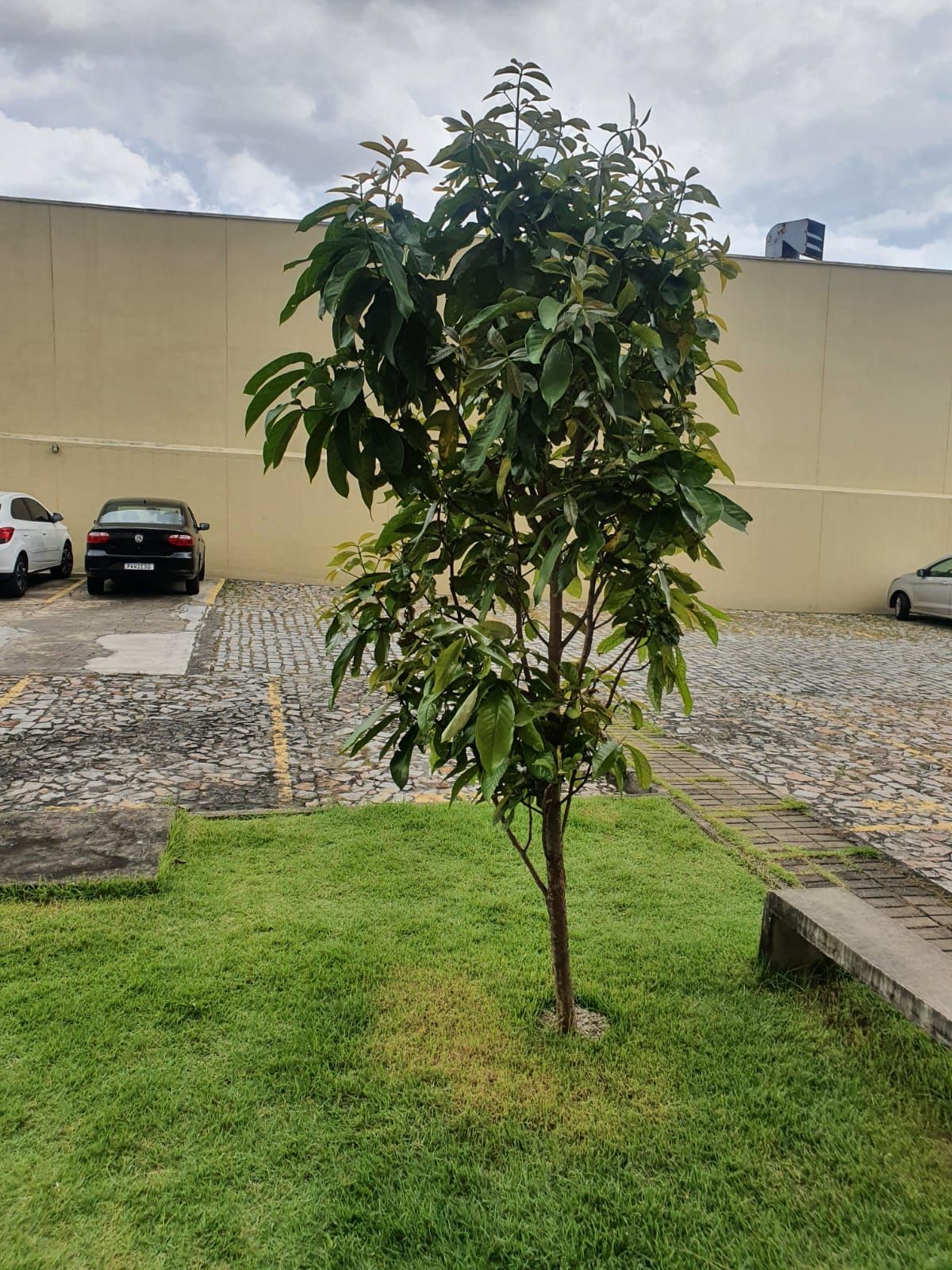 Apartamento, 2 quartos, 61 m² - Foto 17