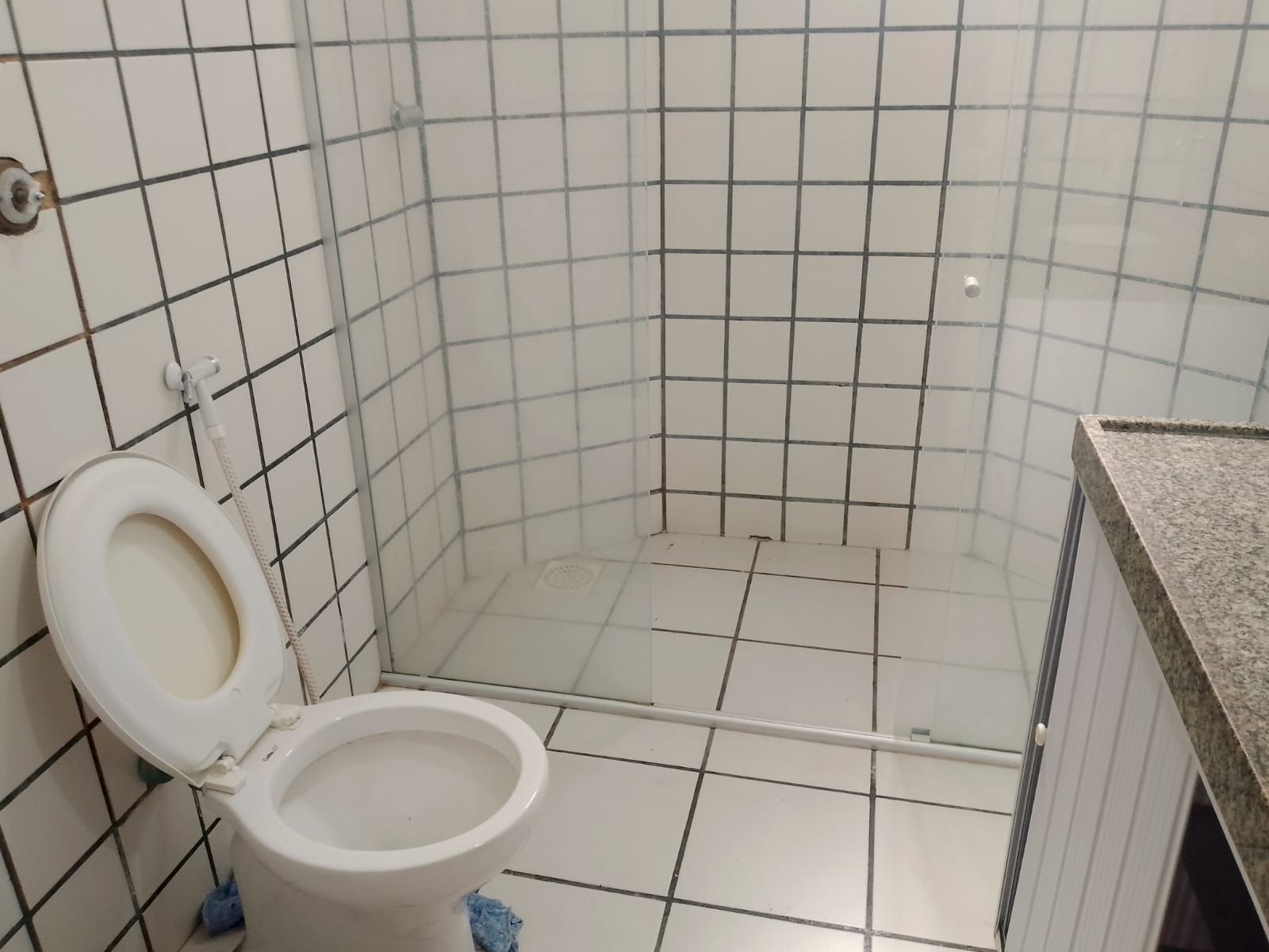 Casa, 4 quartos, 262 m² - Foto 5