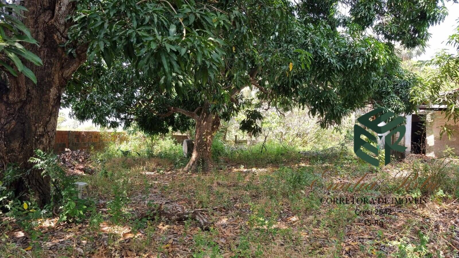 Loteamento e Condomínio, 2 hectares - Foto 21