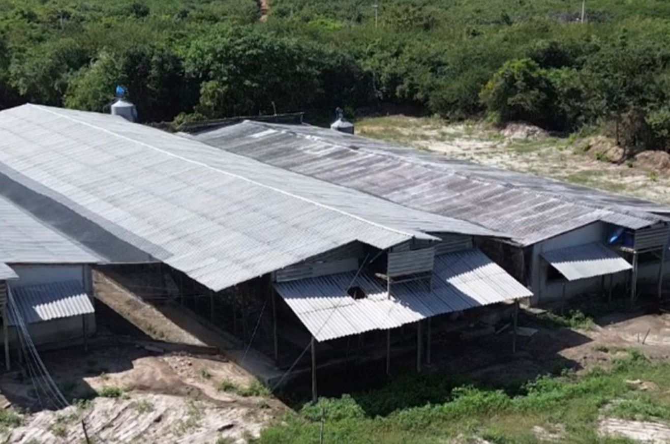 Sala-Conjunto, 246400 m² - Foto 20