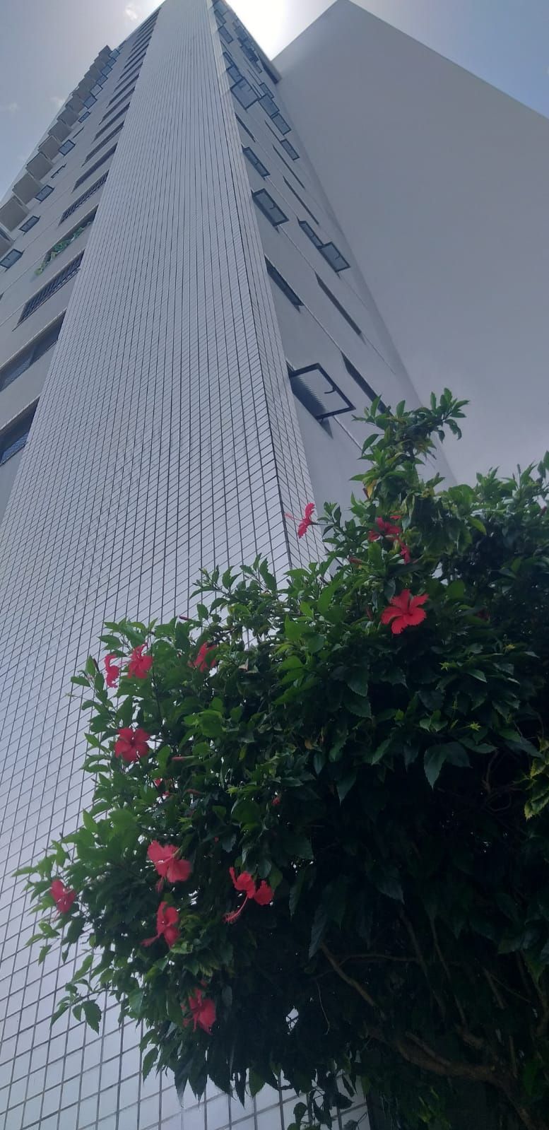 Apartamento, 3 quartos, 113 m² - Foto 3