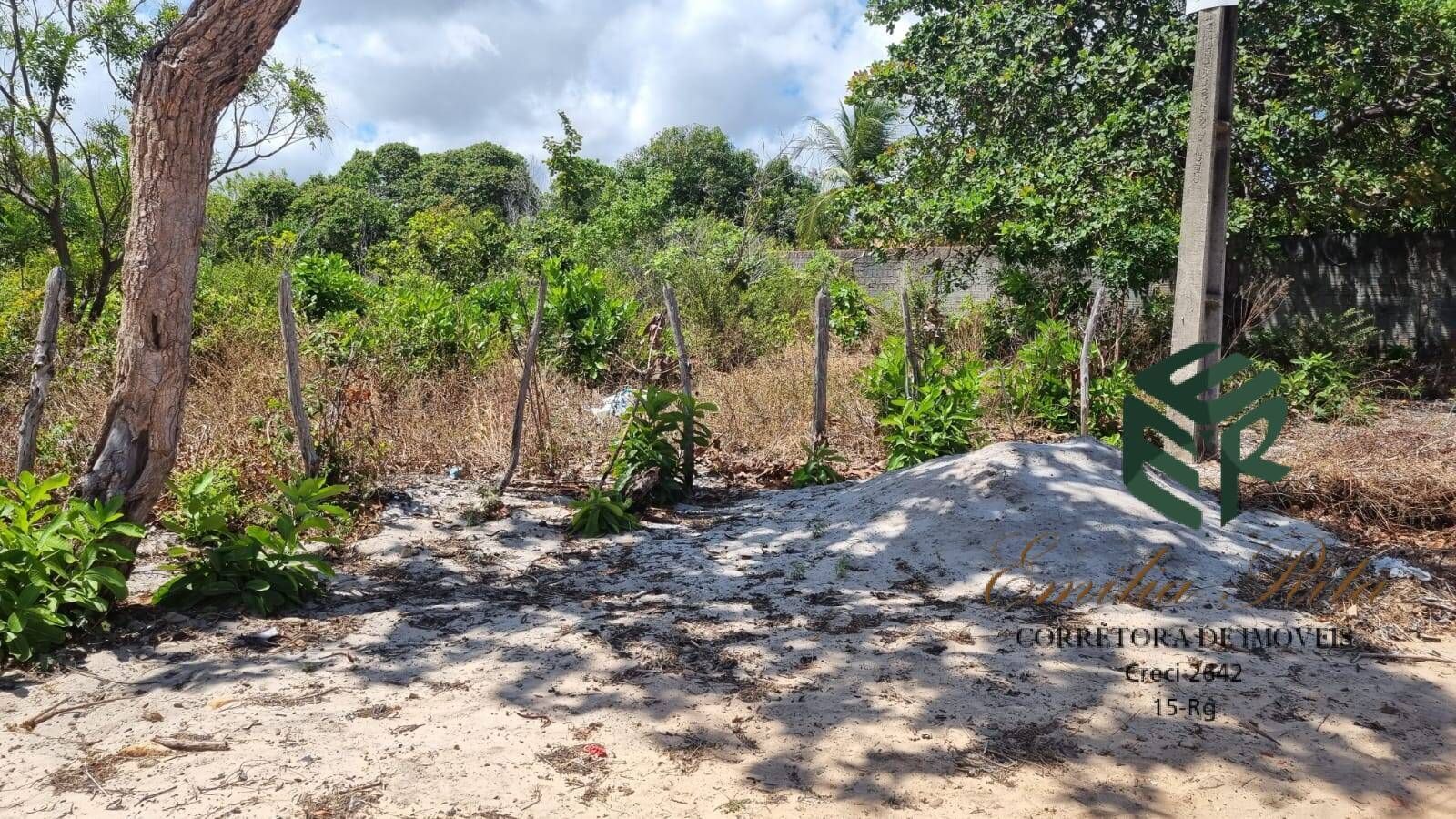 Terreno, 1584 m² - Foto 6