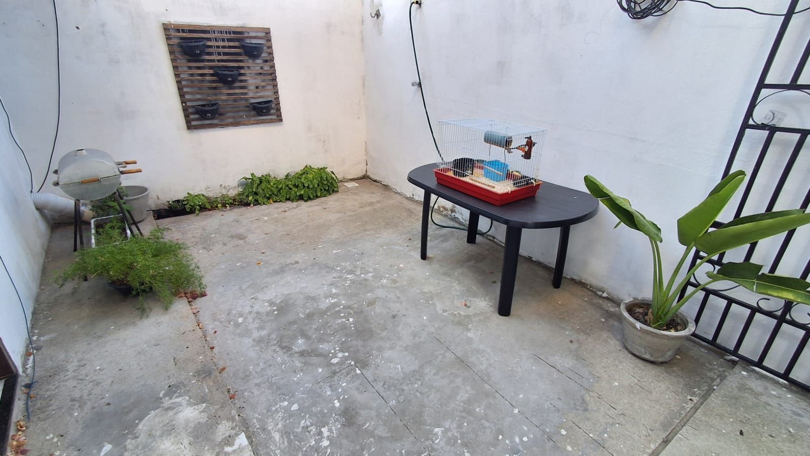 Casa, 3 quartos, 160 m² - Foto 23