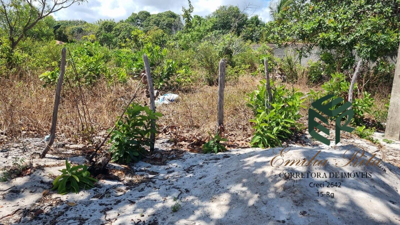 Terreno, 1584 m² - Foto 4