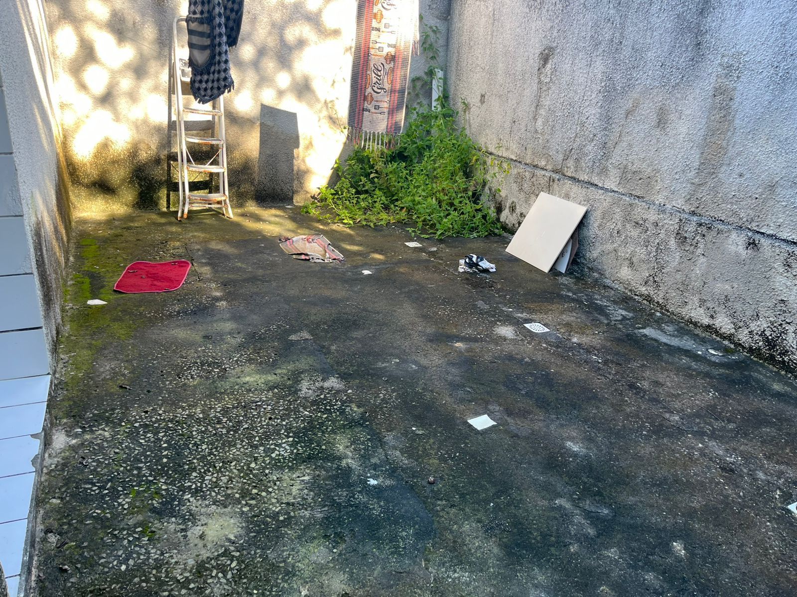 Casa, 3 quartos, 8970 m² - Foto 21
