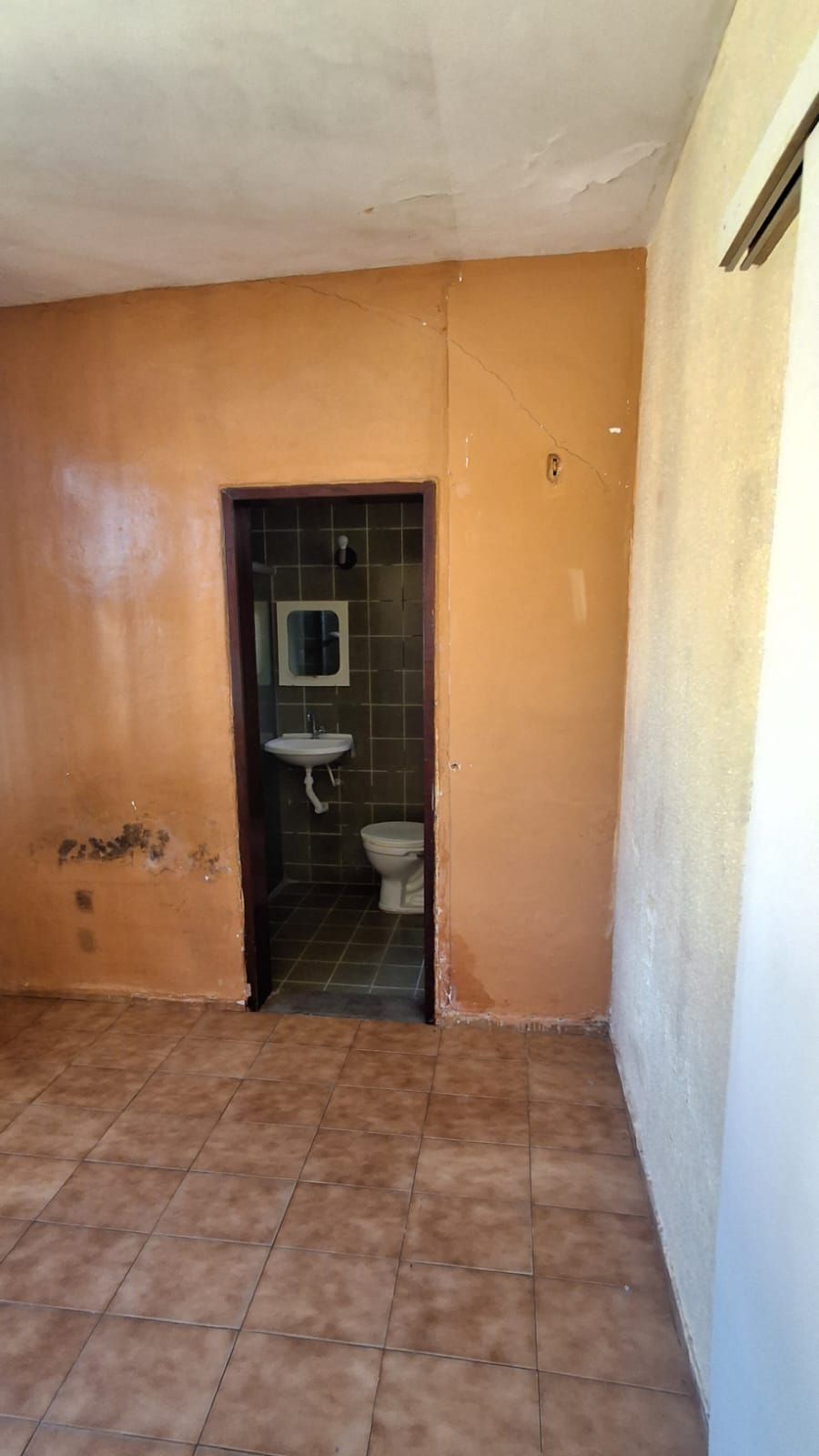 Casa, 4 quartos, 206 m² - Foto 53