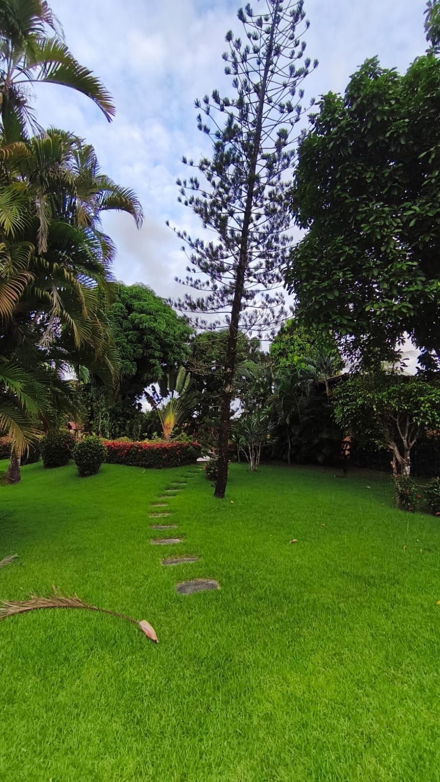 Chácara, 6 quartos, 2 hectares - Foto 11