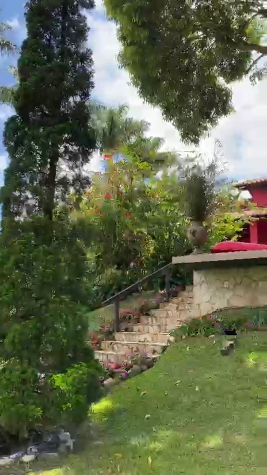 Chácara, 5 quartos, 33 hectares - Foto 24