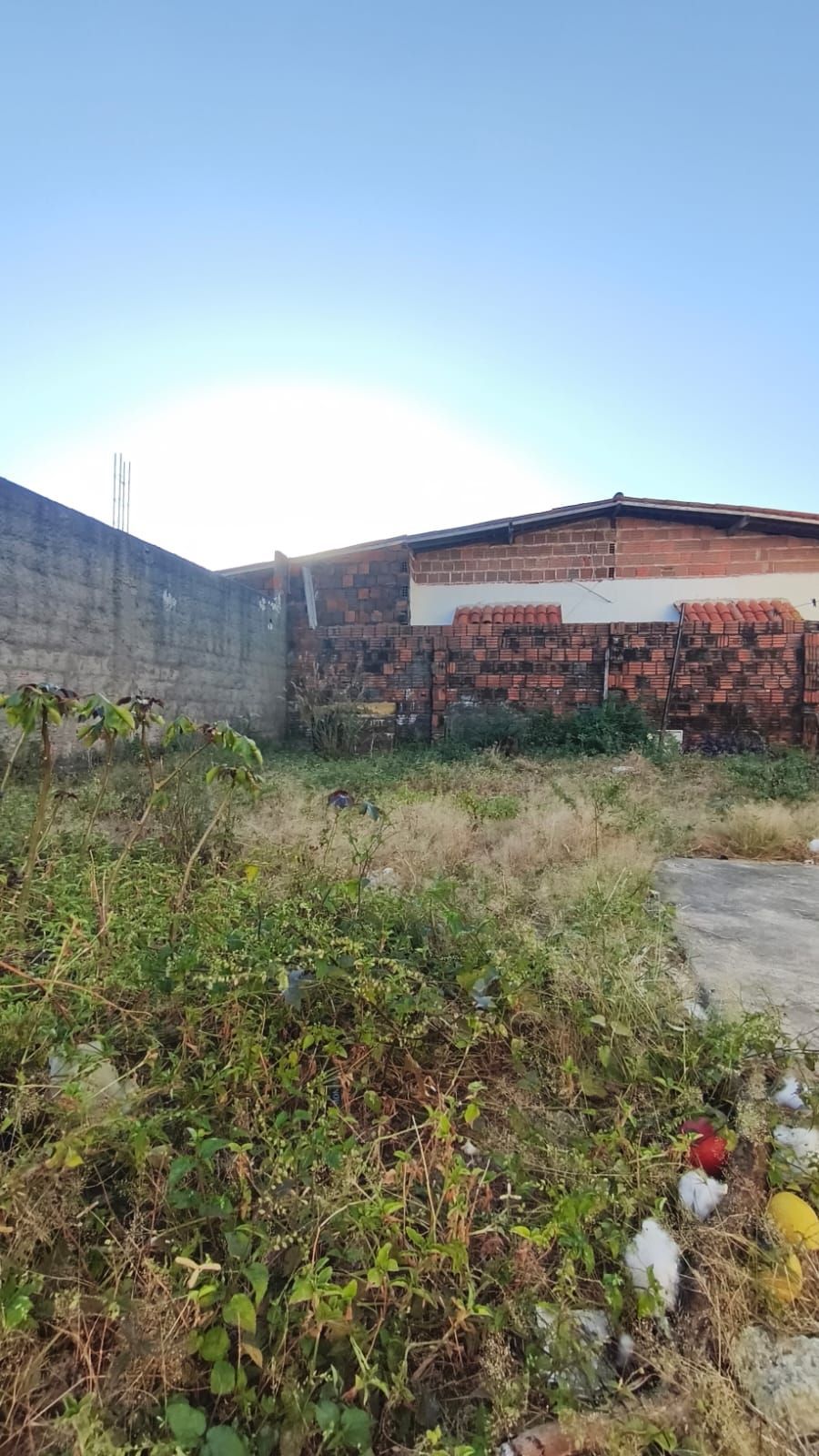 Casa, 4 quartos, 287 m² - Foto 32