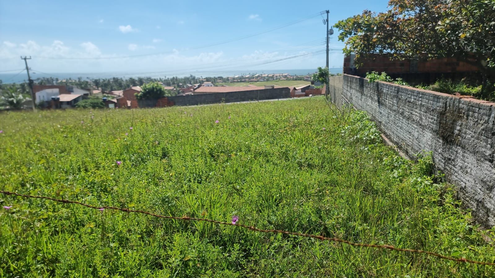 Terreno, 1325 m² - Foto 14