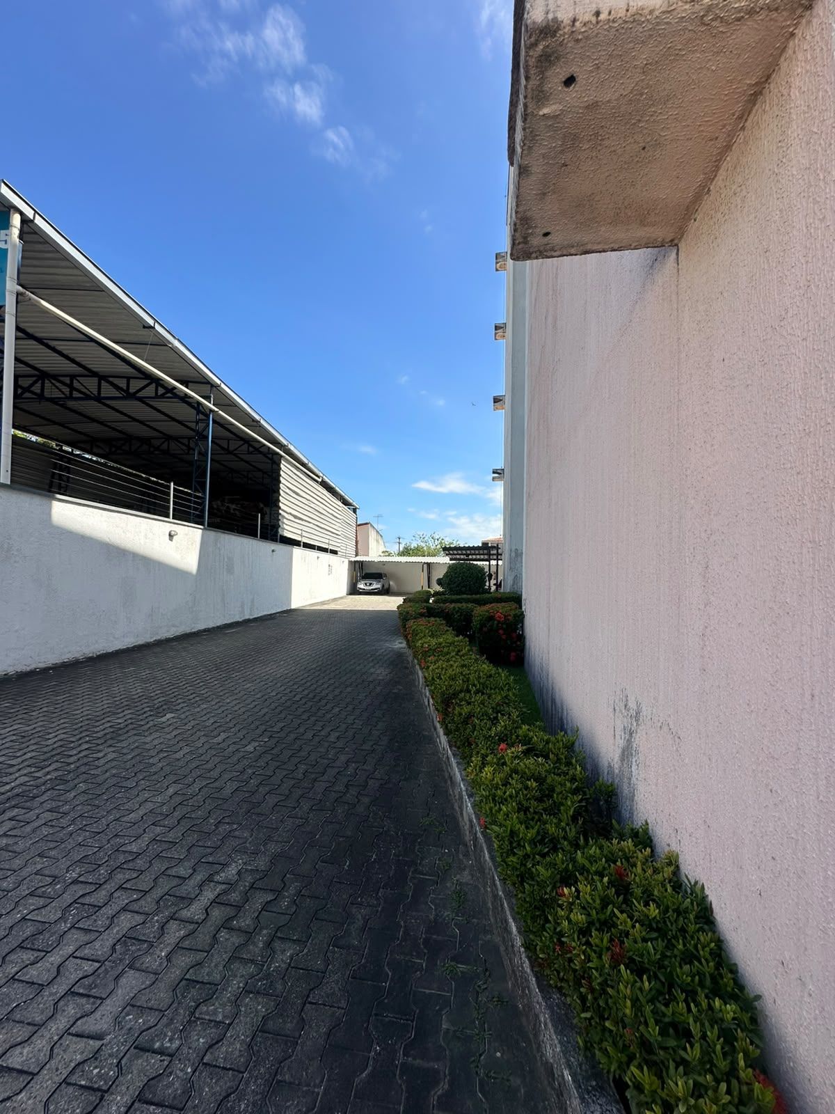 Apartamento, 3 quartos, 65 m² - Foto 12