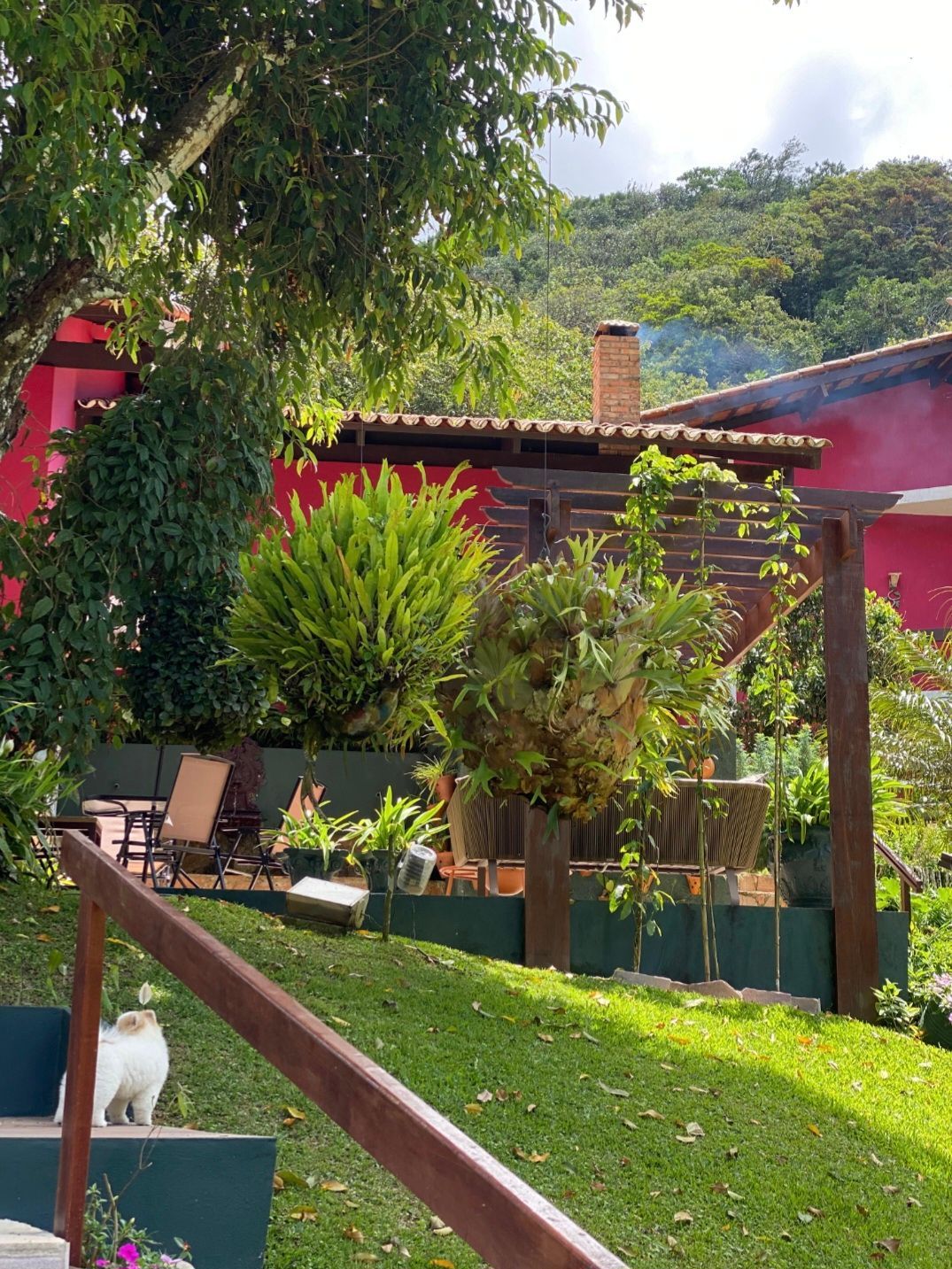 Chácara, 5 quartos, 33 hectares - Foto 2