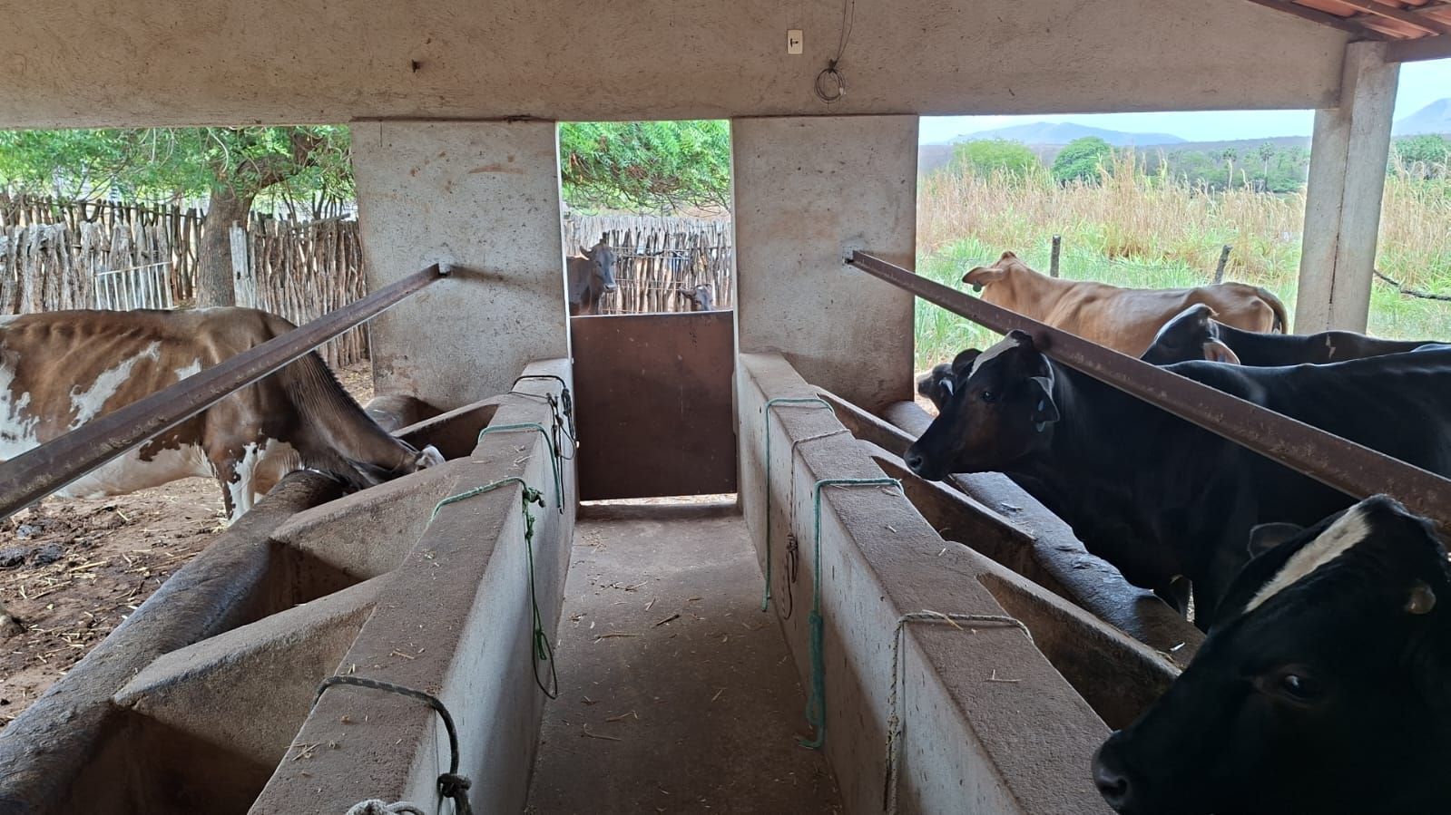 Fazenda, 300 m² - Foto 3