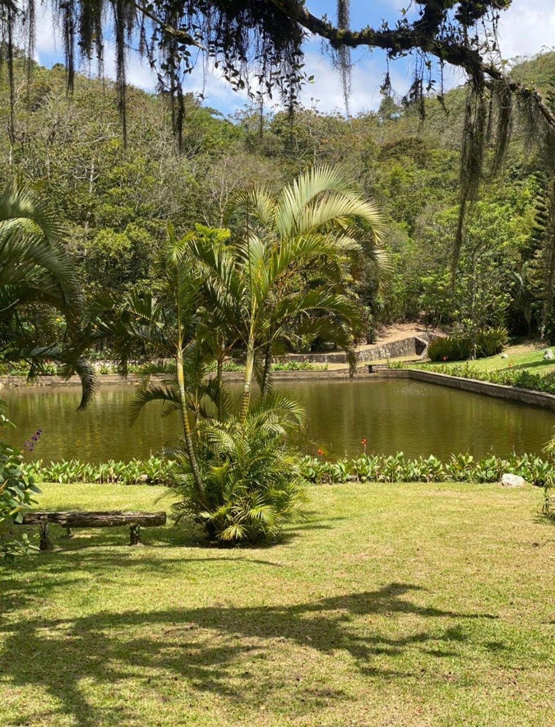 Chácara, 5 quartos, 33 hectares - Foto 8