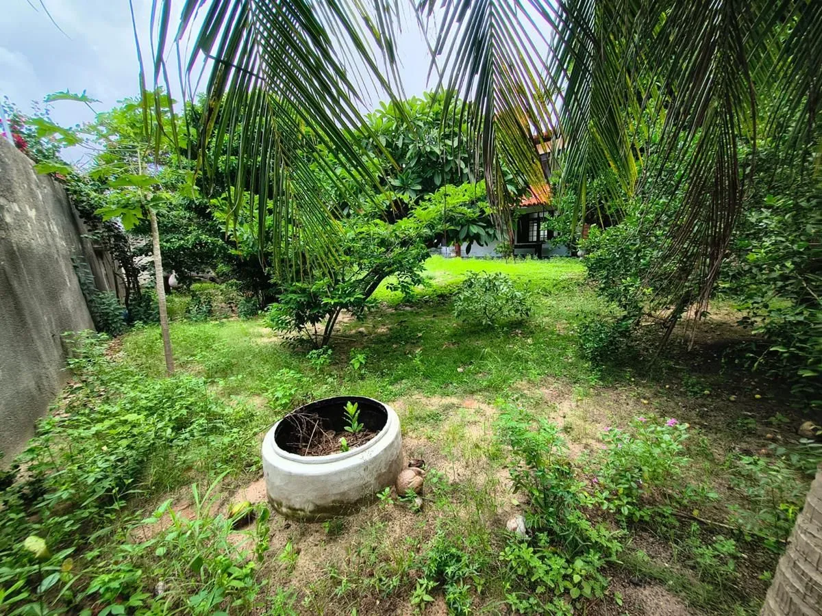 Casa, 5 quartos, 531 m² - Foto 19