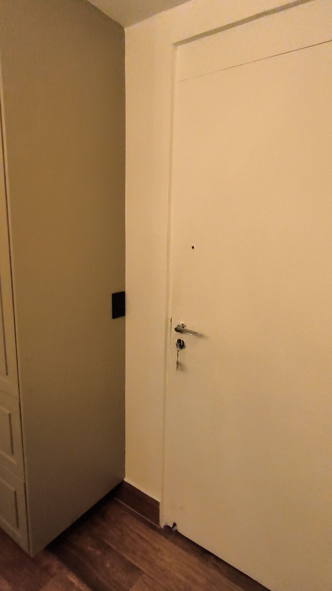 Apartamento, 4 quartos, 225 m² - Foto 77