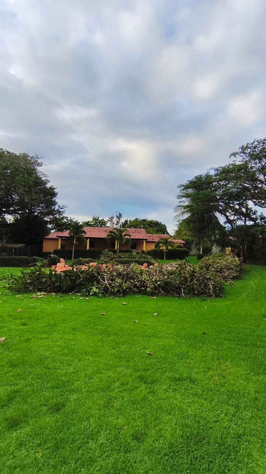 Chácara, 6 quartos, 2 hectares - Foto 10