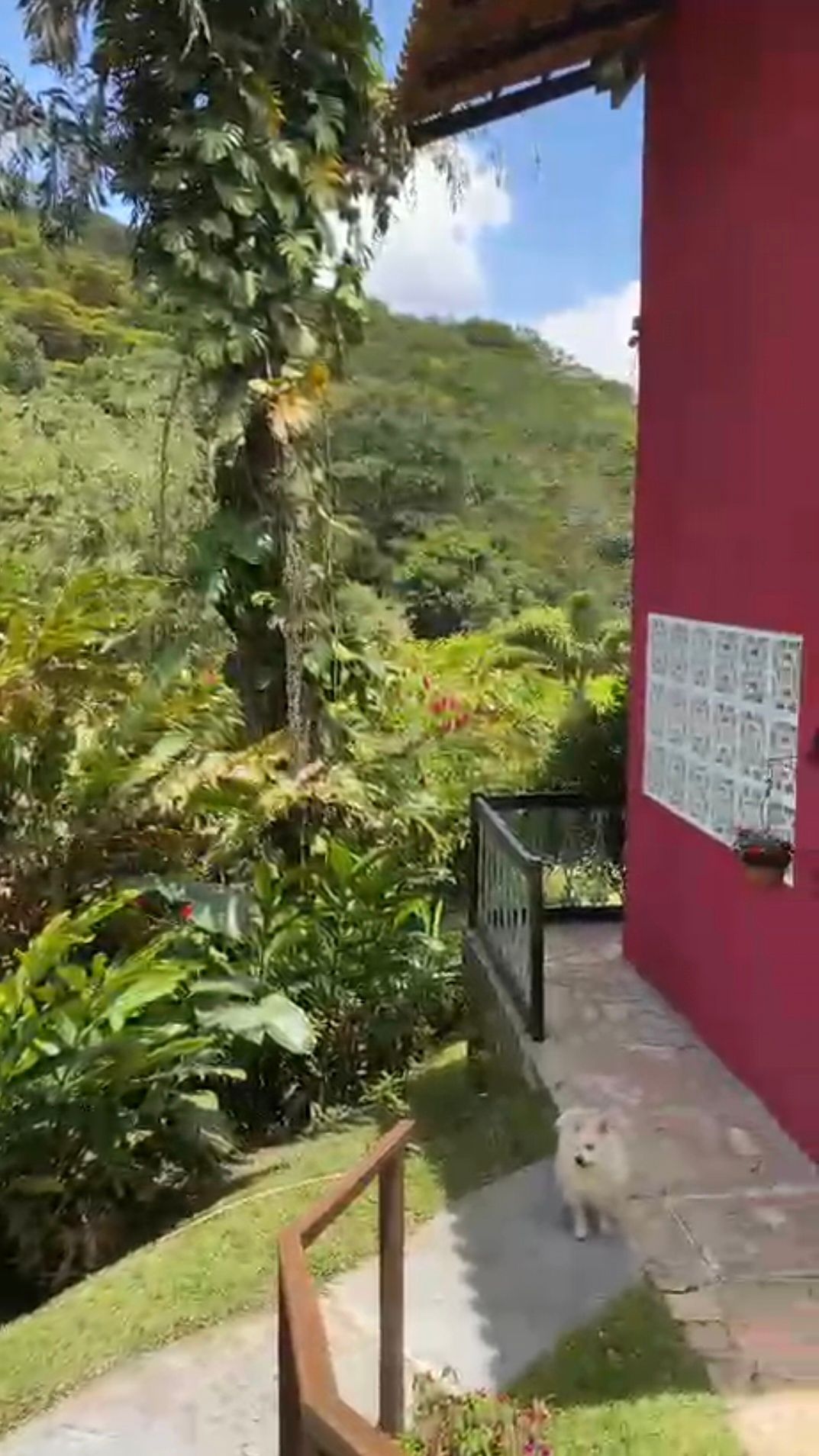 Chácara, 5 quartos, 33 hectares - Foto 47