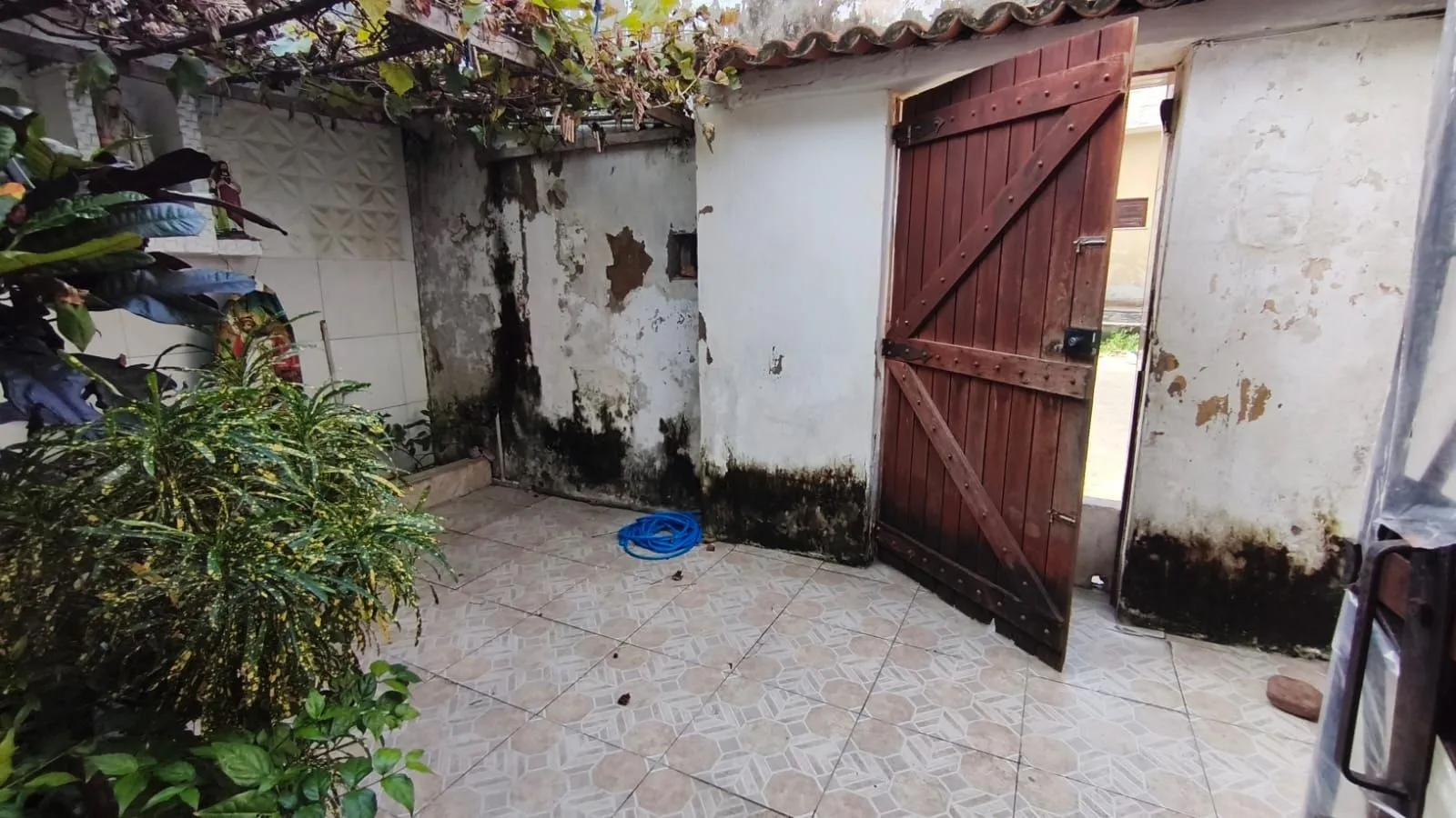 Casa, 7 quartos, 360 m² - Foto 7