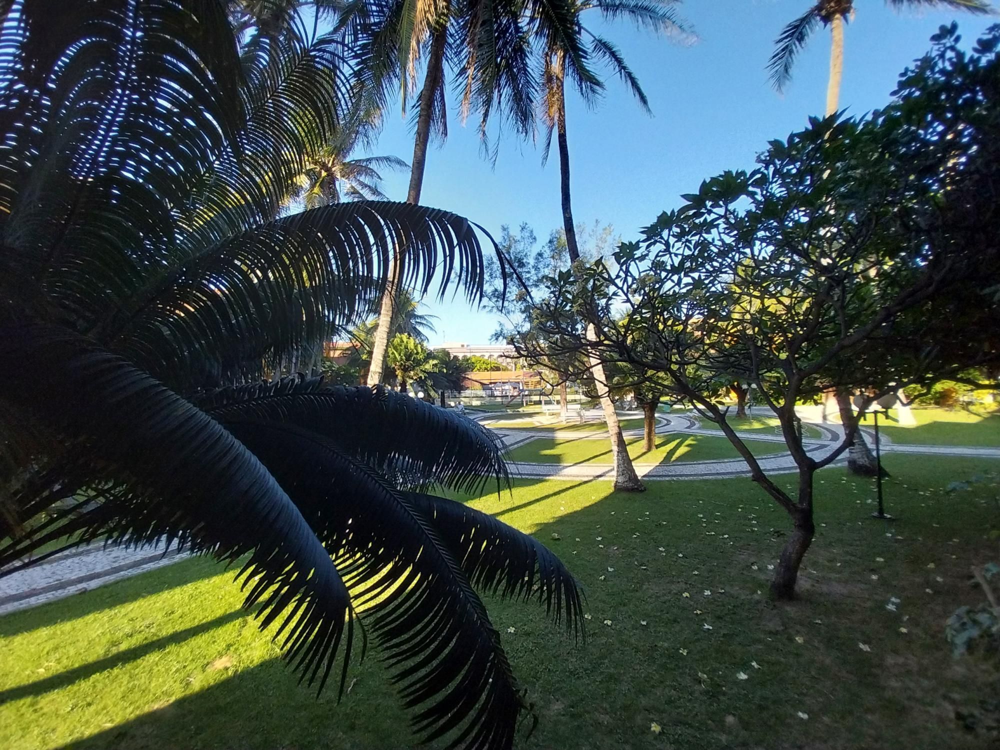 img255163851